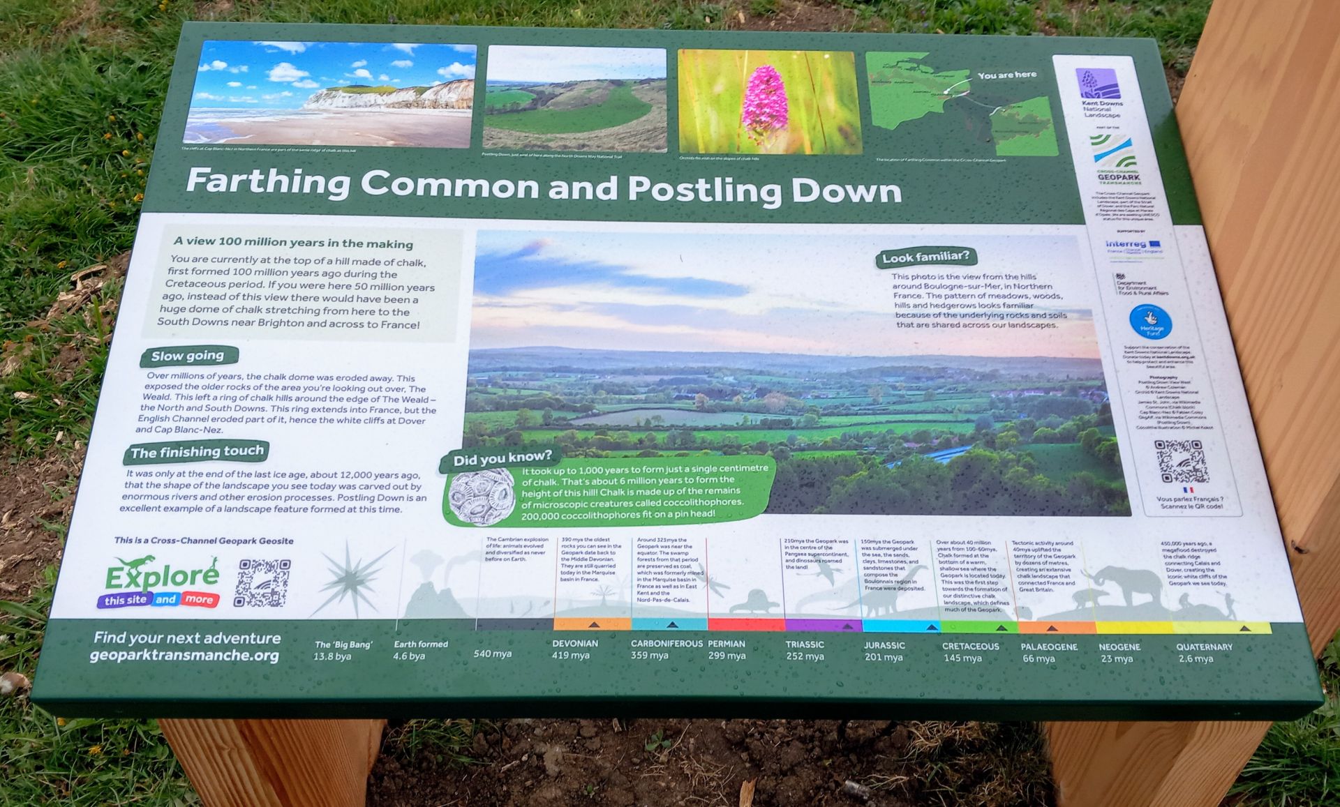 Farthing Common walk